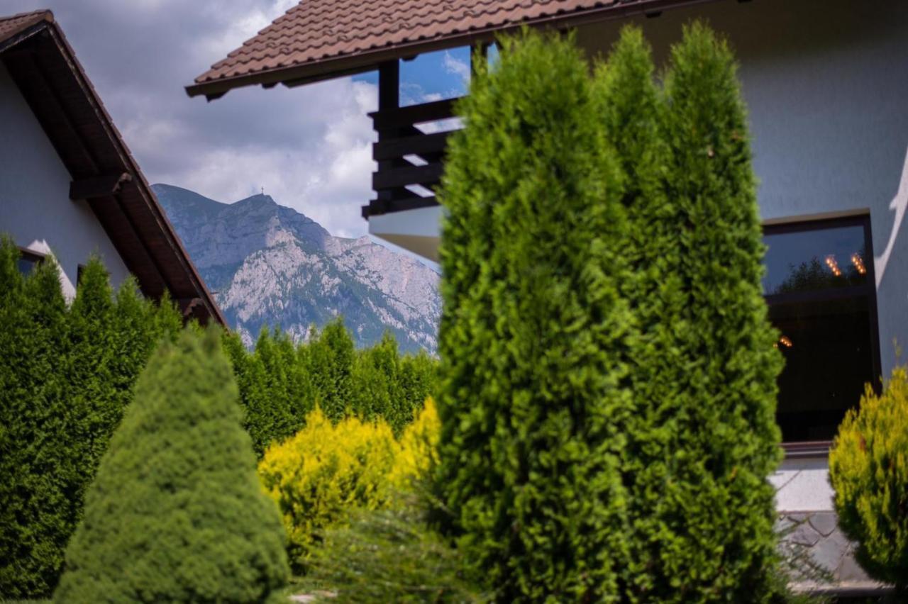 Jack Residence Buşteni 外观 照片