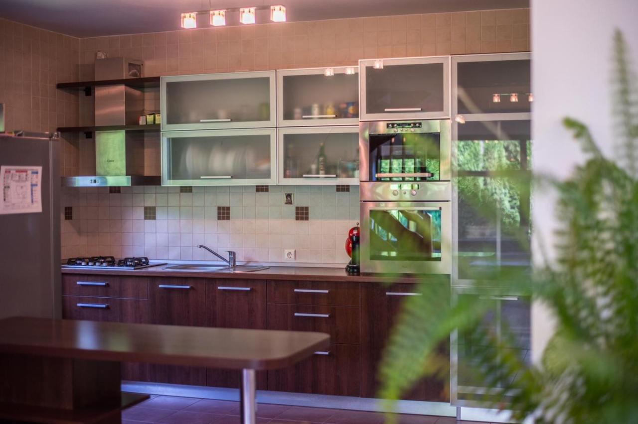 Jack Residence Buşteni 外观 照片