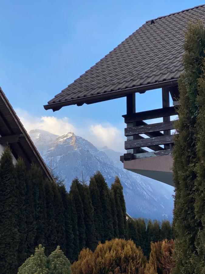 Jack Residence Buşteni 外观 照片