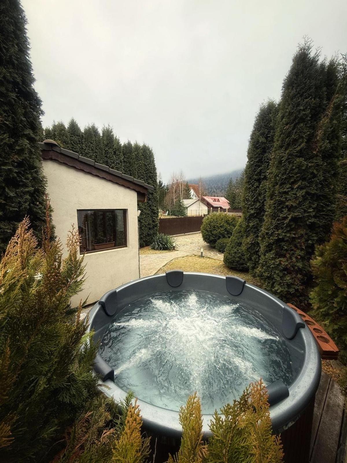 Jack Residence Buşteni 外观 照片